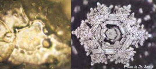 Masaru Emoto